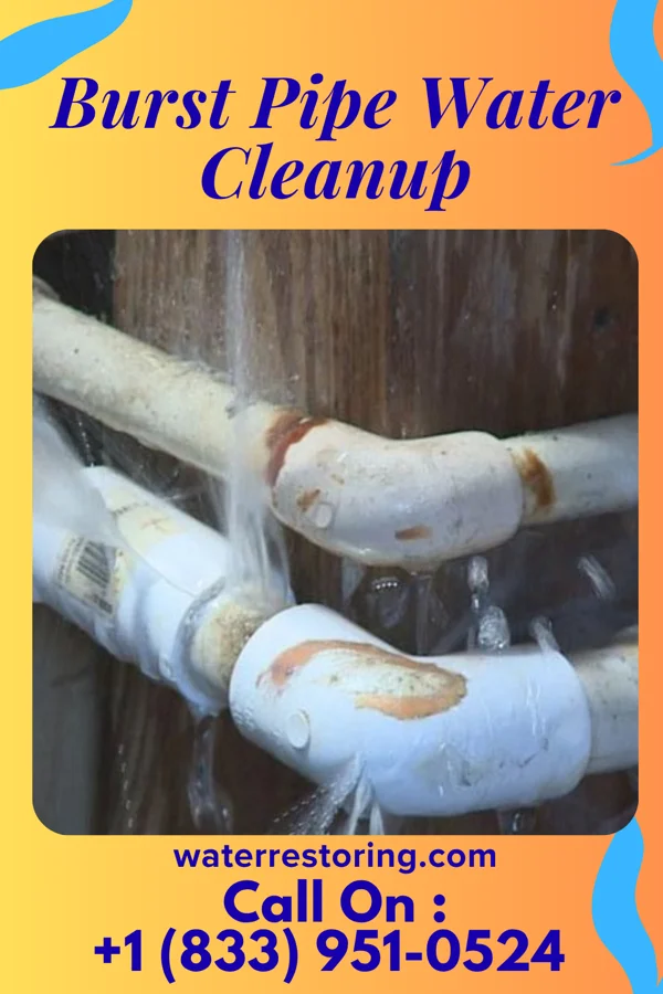 Burst Pipe Water Cleanup in Ogdensburg, NJ