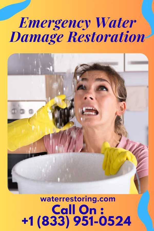 Emergency Water Damage Restoration in Ogdensburg, NJ