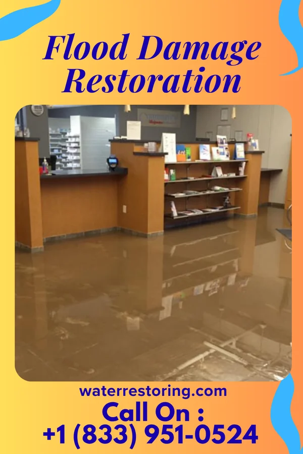 Flood Damage Restoration in Ogdensburg, NJ