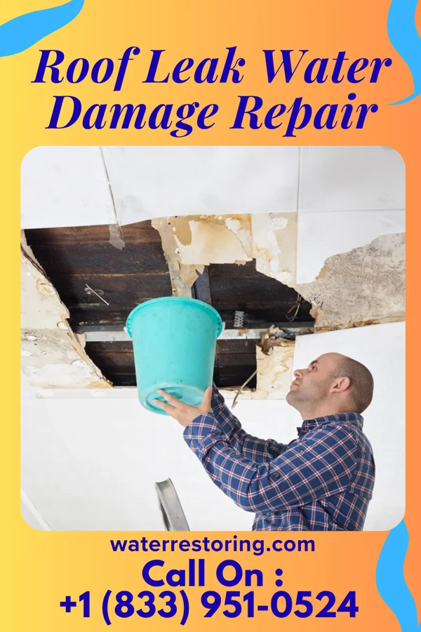 Roof Leak Water Damage Repair in Ogdensburg, NJ