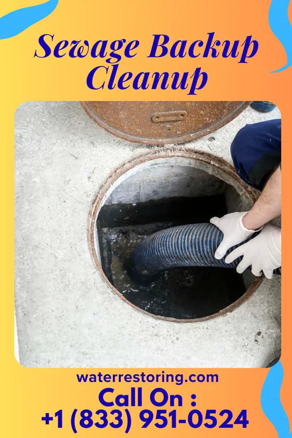 Sewage Backup Cleanup in Ogdensburg, NJ