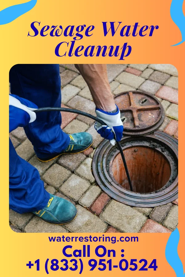 Sewage Water Cleanup in Ogdensburg, NJ