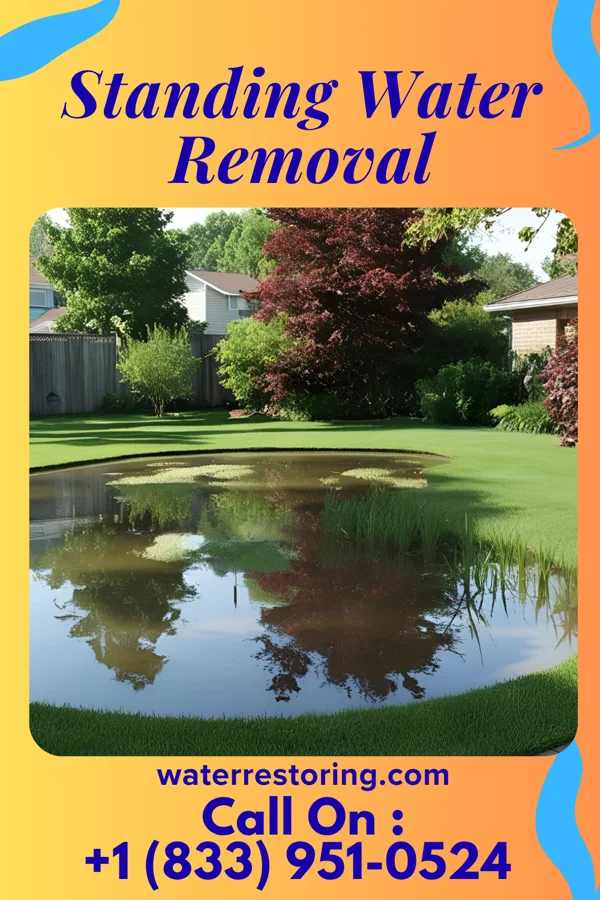 Standing Water Removal in Ogdensburg, NJ